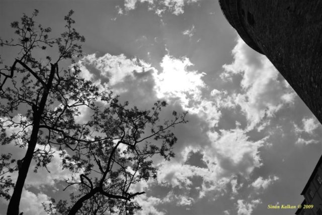 dsc_1171medium.jpg